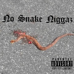 No Snake Niggaz