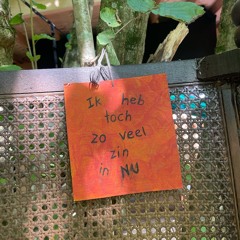 Familiar Forest 2024 Friday Night