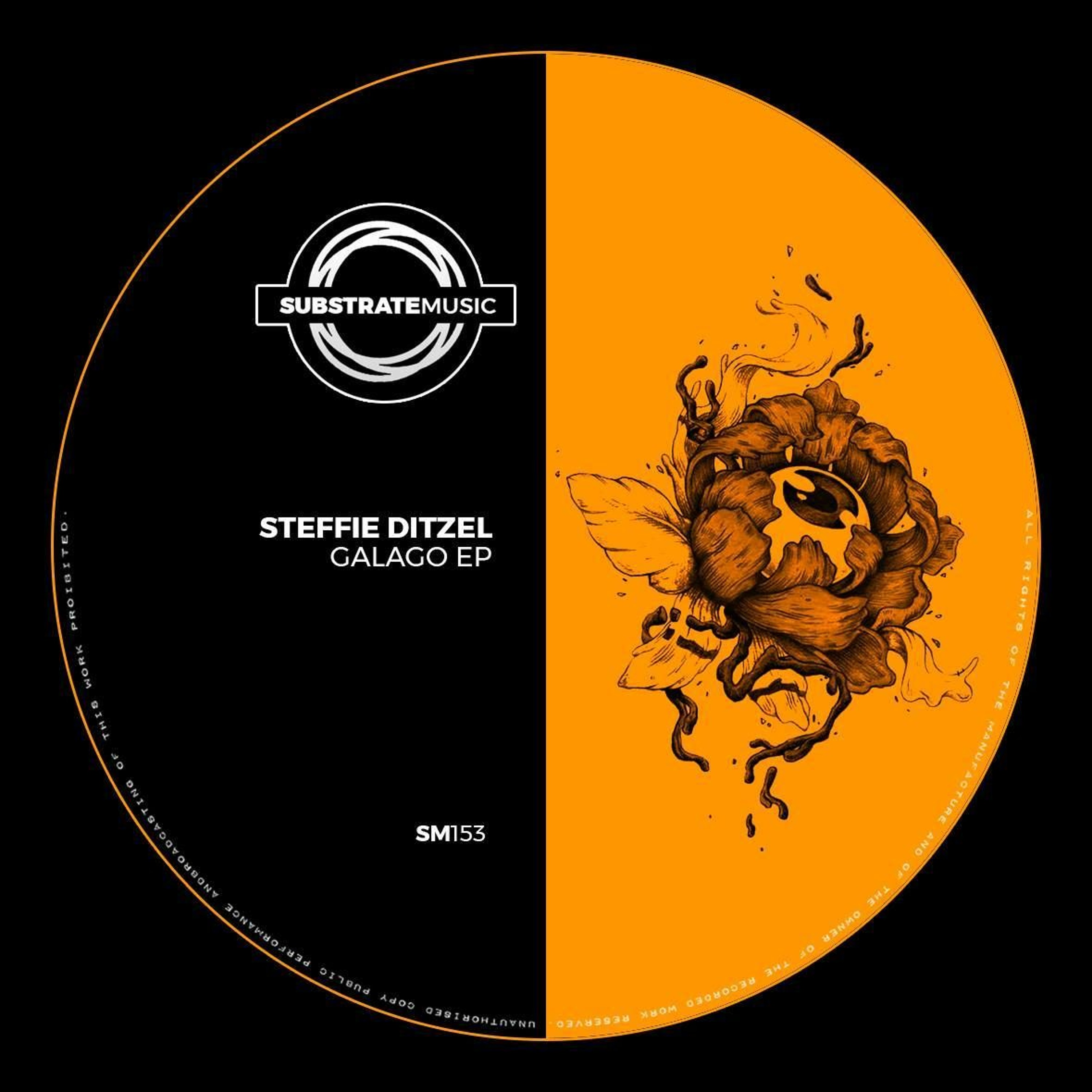 Steffie Ditzel - Galago episode artwork