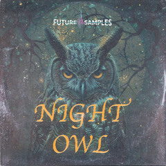 Future Samples_NIGHT OWL_Demo