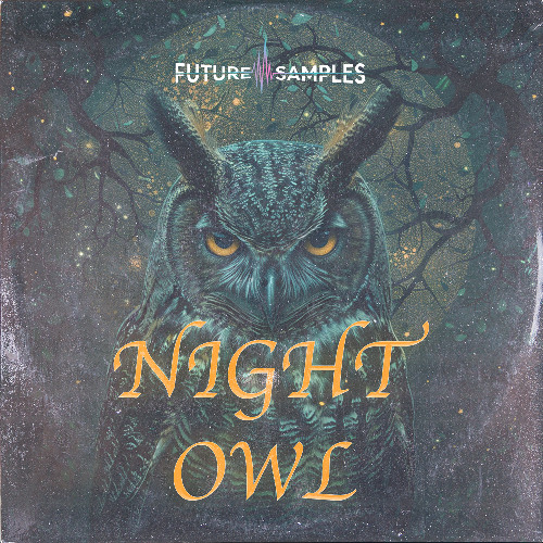 Future Samples_NIGHT OWL_Demo
