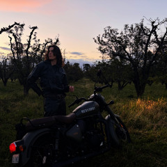 Twilight Remix (Feat. hux.)