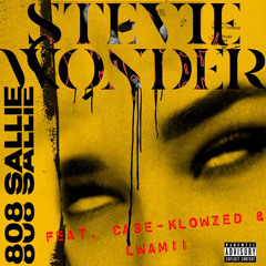 Stevie Wonder W/Case Klowzed & Lwami👩‍🦯