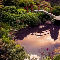 Ed Sheeran | Photograph (Beautiful Piano)