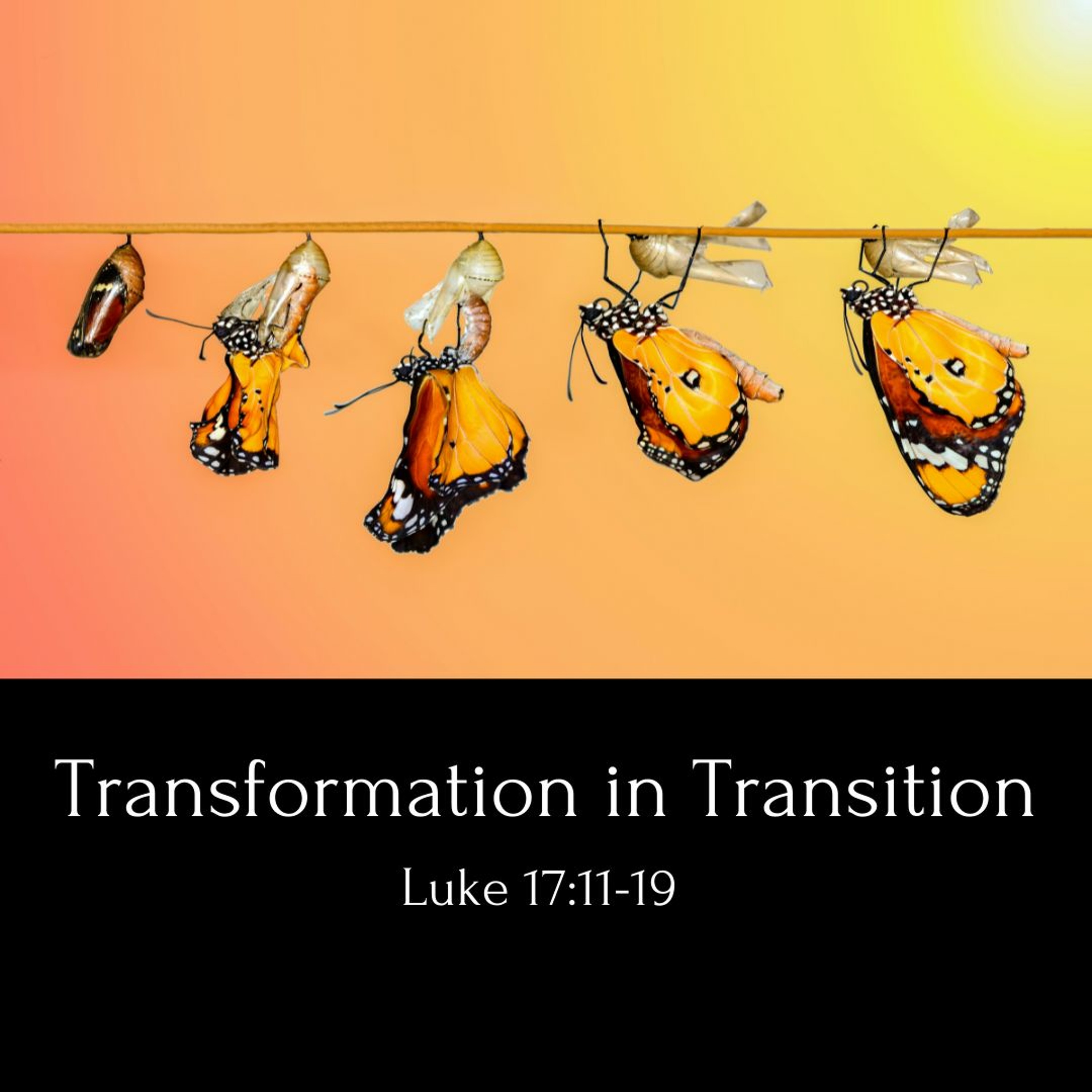 Transformation in Transition episode artwork