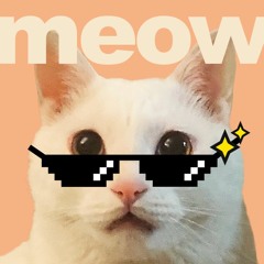 Kim Jeong_uk - meow