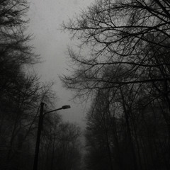 Insomnia ft. miilia (prod. sorrow bringer)