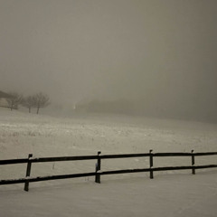 dis moi que j'suis dans ton <3