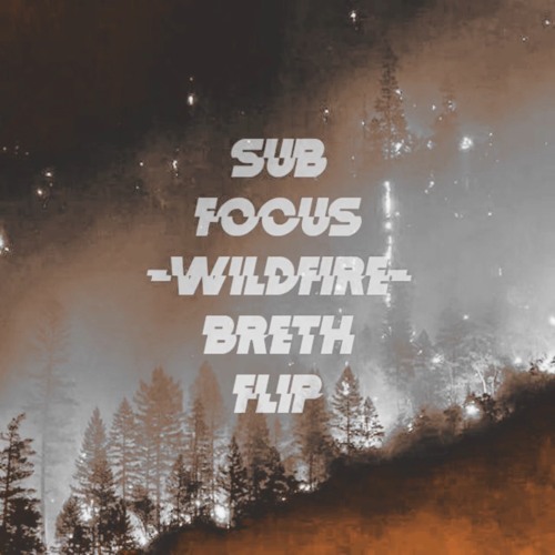 WILDFIRE (BRETH FLIP)
