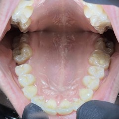 ONA TEE (Kurtt + Tripp)