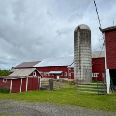 The Indoor Shoes 25.3