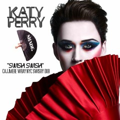 Katy Perry - Swish Swish (Cajjmere Wray NYC Swishy Dub) *Preview Clip*
