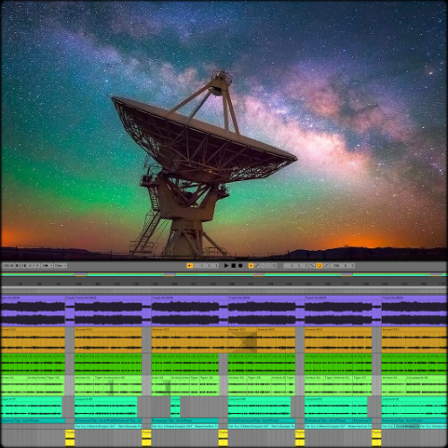 (Ableton-Live: Improvised-Animals-Samples-Dark-Hitech) Track No: 6954.