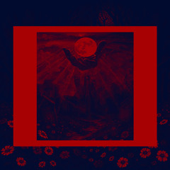 I BELONG SOMEWHERE ELSE