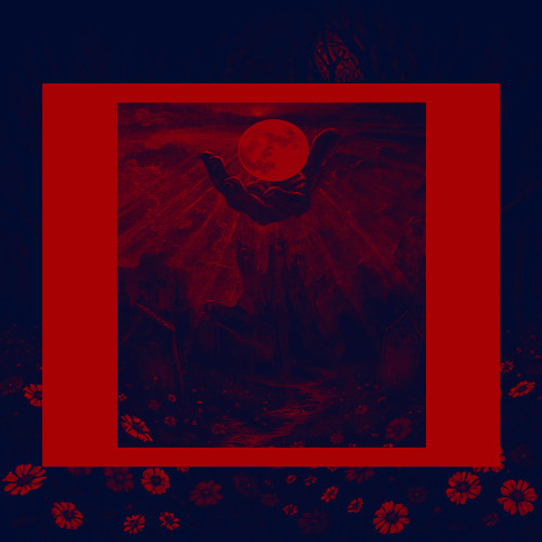 I BELONG SOMEWHERE ELSE