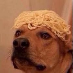 is that spaghetti dog?