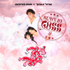 שחר טבוך ואגם בוחבוט - נאדי באדי רימיקס (Remix By GOSS)
