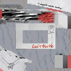 Can't Say No - Explicit