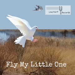 Fly My Little One