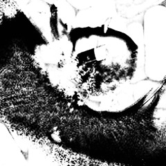 T0XIC - v4mpirz x DreaXOXO! (faketalency)