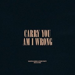 Martin Garrix & Third ≡ Party - Carry You vs Am I Wrong (Martin Garrix Mashup)