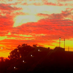 Trenton Rising
