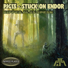 pjg13 - stuck on endor {ripped.pl8s spesh} [free]