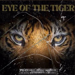 Eyes of a tiger
