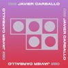 Descargar video: 022: Javier Carballo