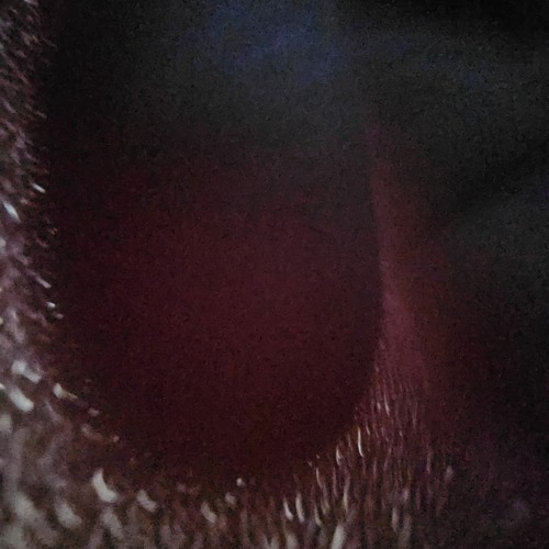 I Dont Understand This (XXX TRIBUTE)