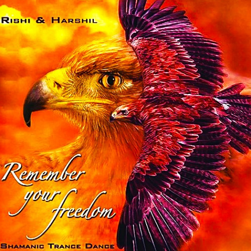 🌀 Jawsharp - Rishi & Harshil (STAV🌀 Remix & Didg)