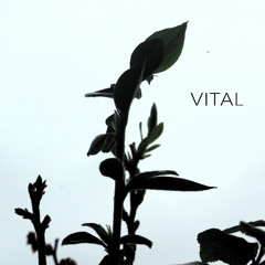 VITAL
