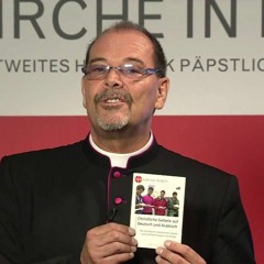 Msgr. Joachim Schroedel: " Ziel der Radikalen ist die Vertreibung aller Christen aus Ägypten" (2017)