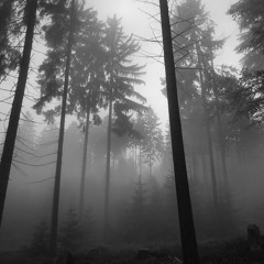 ILOSTMARI - A THOUSAND TEARS