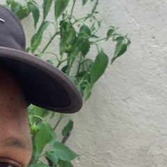 Mensagens no meu celular