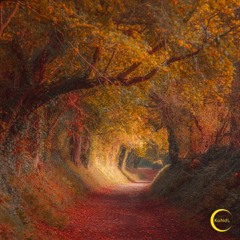 The Road to Eden (feat. Lauren Waterworth)