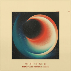 What You Need (feat. cocabona)