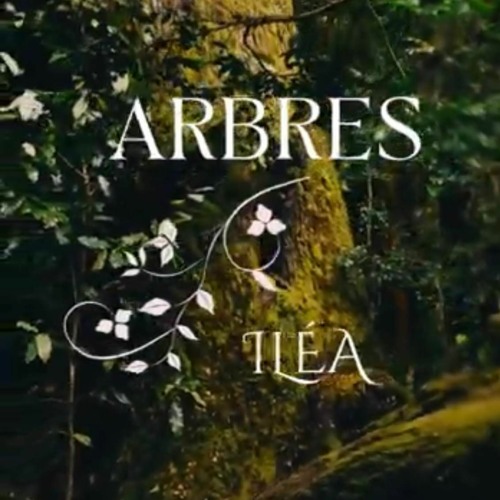 ARBRES  🌳  îI L É A