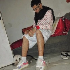O Predileto 3