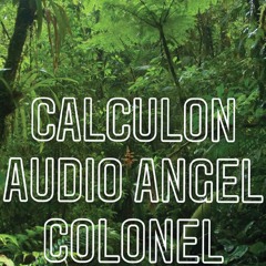 Calculon, Audio Angel and the Colonel for Stamina DnB 2021