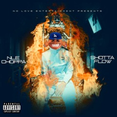 Homo Flow (shotta flow gay version)