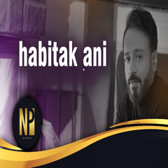 حبيتك اني