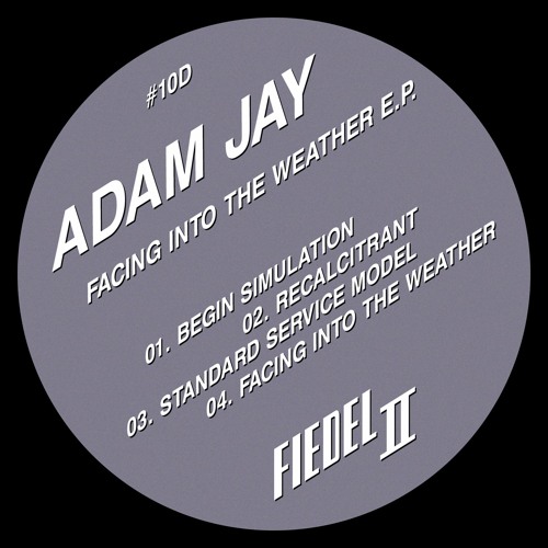Premiere: Adam Jay - Facing Into The Weather [FIEDELTWO#10D]