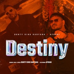 Destiny (feat. Afrani)