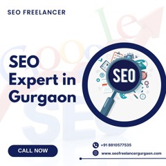 Rank Higher With The Best SEO Expert In Gurgaon!