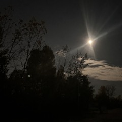 we don't have to fall in love