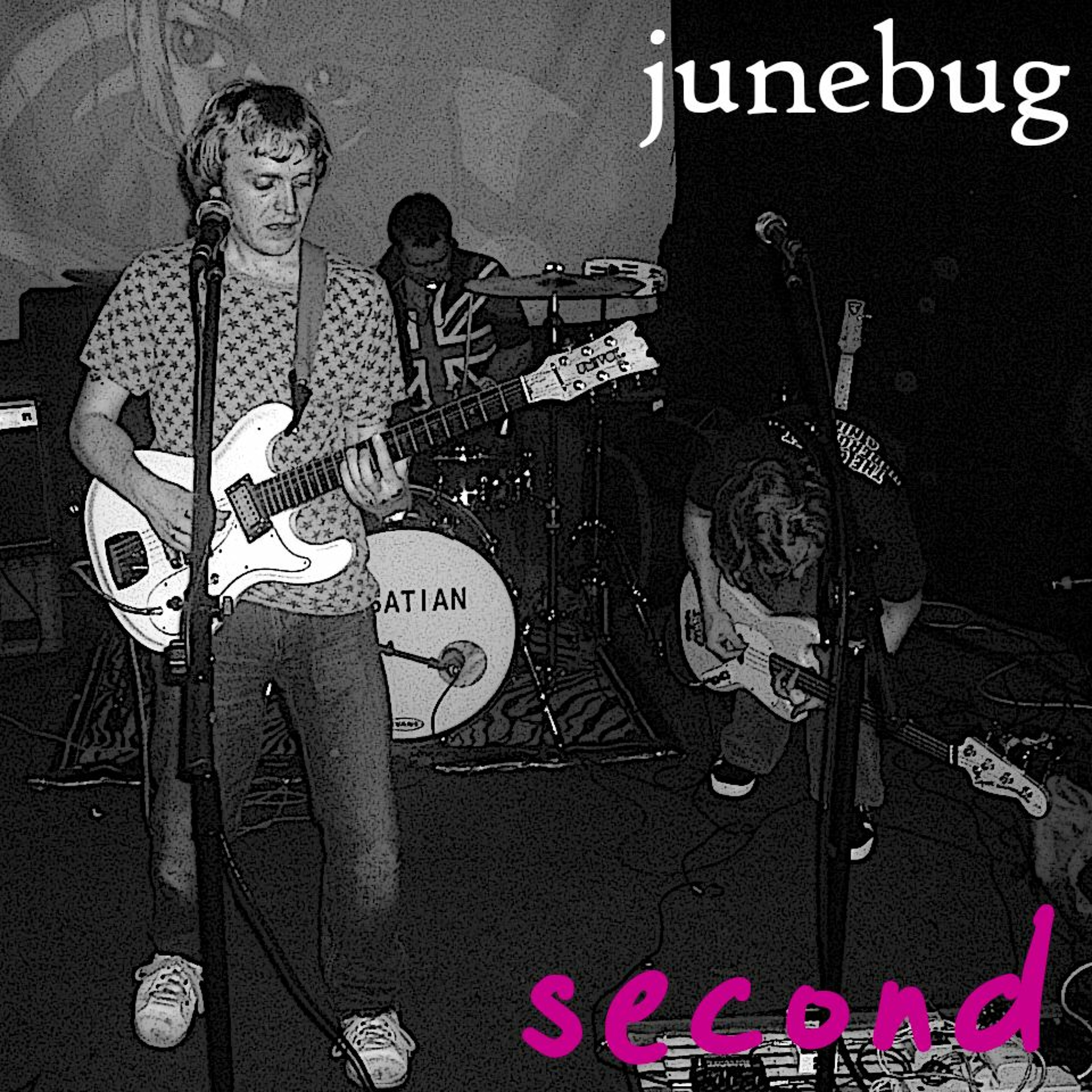 Junebug The Band