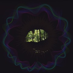 Jaw harp forest meditation