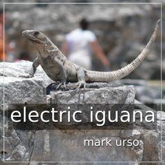 Electric Iguana