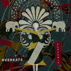 PREMIERE: Meerkats - Infection (Original Mix) [3000Grad Records]